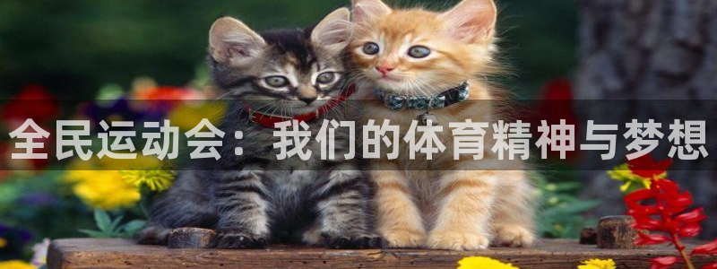 哈哈体育十年：全民运动会：我们的体育精神与梦想