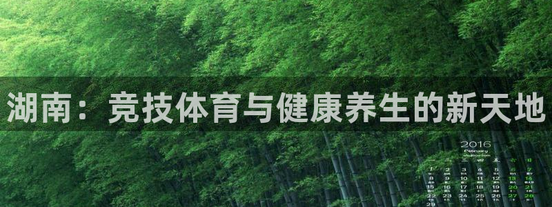 哈哈体育下载：湖南：竞技体育与健康养生的新天地