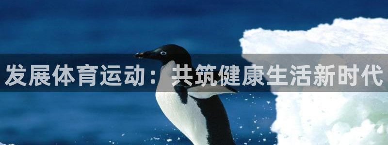 哈哈体育：发展体育运动：共筑健康生活新时代