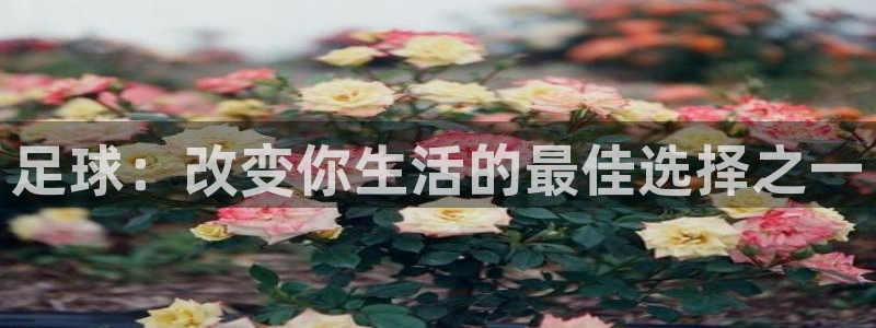哈哈体育下载：足球：改变你生活的最佳选择之一