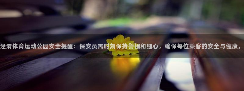 哈哈体育下载：泾渭体育运动公园安全提醒：保安员需时刻保持警惕和细心，确保每位乘客的安全与健康。