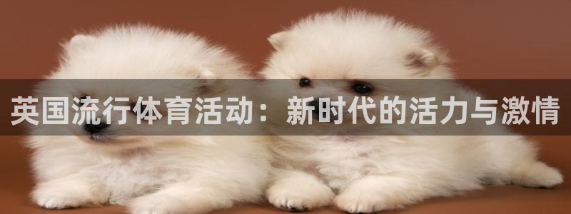 哈哈体育十年：英国流行体育活动：新时代的活力与激情