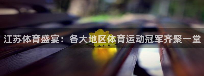 哈哈体育下载：江苏体育盛宴：各大地区体育运动冠军齐聚一堂