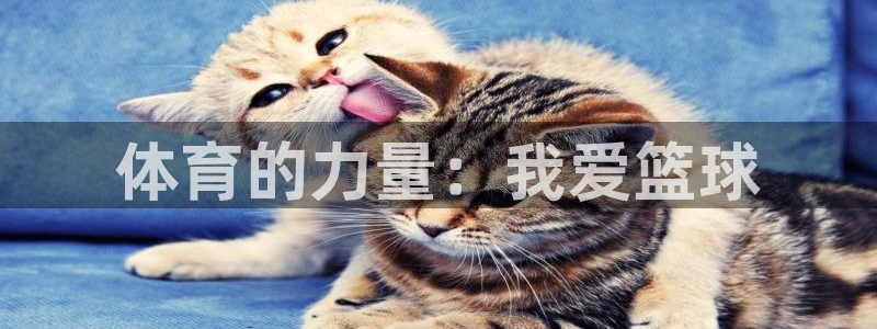 哈哈体育下载