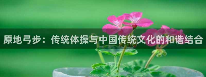 哈哈体育十年：原地弓步：传统体操与中国传统文化的和谐结合