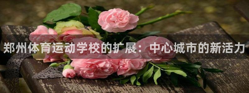 哈哈体育下载：郑州体育运动学校的扩展：中心城市的新活力