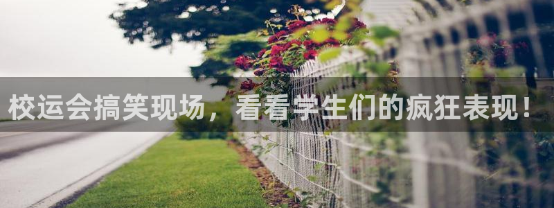 哈哈体育